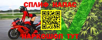 шишки Краснознаменск