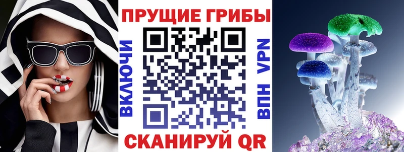 как найти закладки  Урус-Мартан  дарк нет состав  Галлюциногенные грибы прущие грибы 