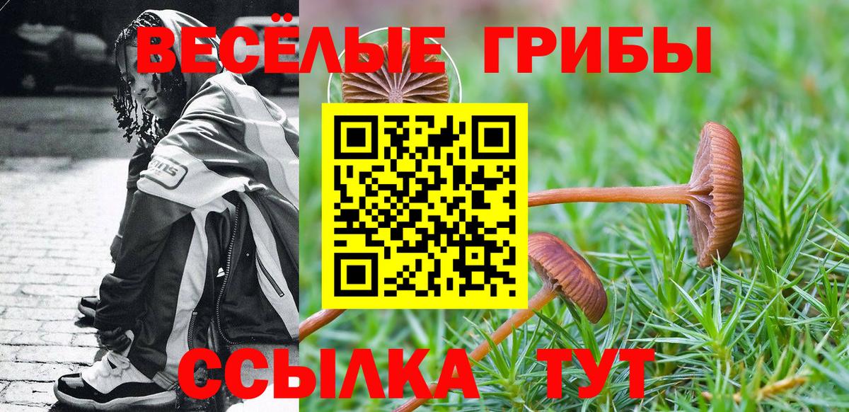 Галлюциногенные грибы мицелий Урус-Мартан