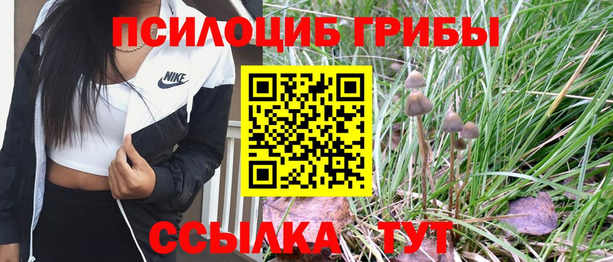 Галлюциногенные грибы Cubensis  Урус-Мартан  дарнет шоп  Галлюциногенные грибы MAGIC MUSHROOMS 