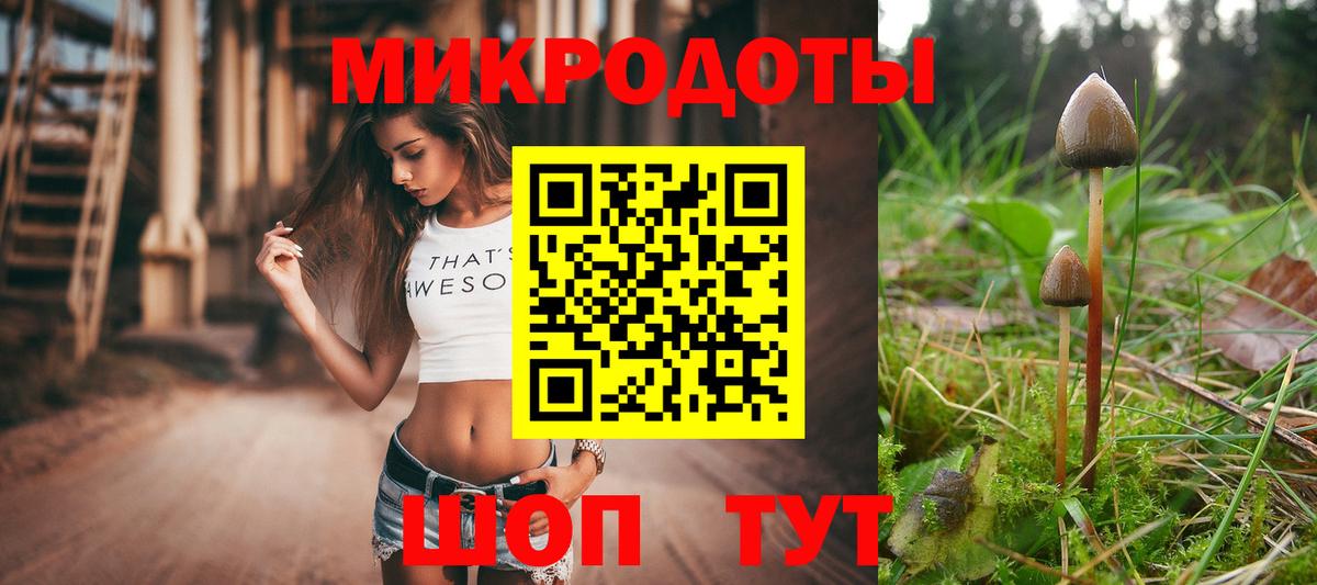 Псилоцибиновые грибы Psilocybe Урус-Мартан